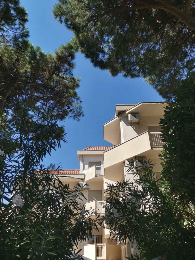 Hotel Enrica 切尔维亚 外观 照片
